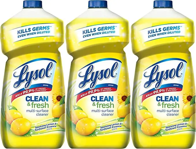 Clean Fresh bottles of Lysol: ask cindy shop