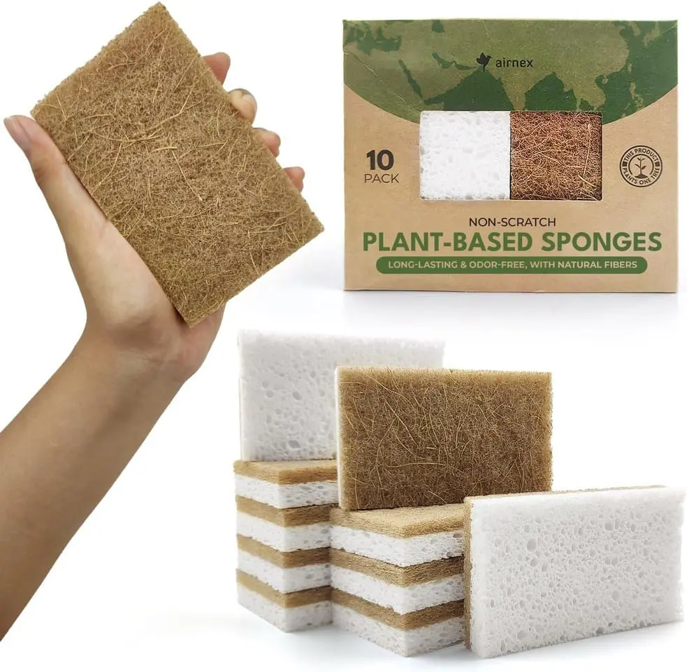 10naturalSponges