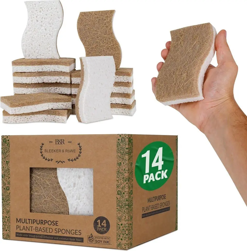 14BleekerSponges
